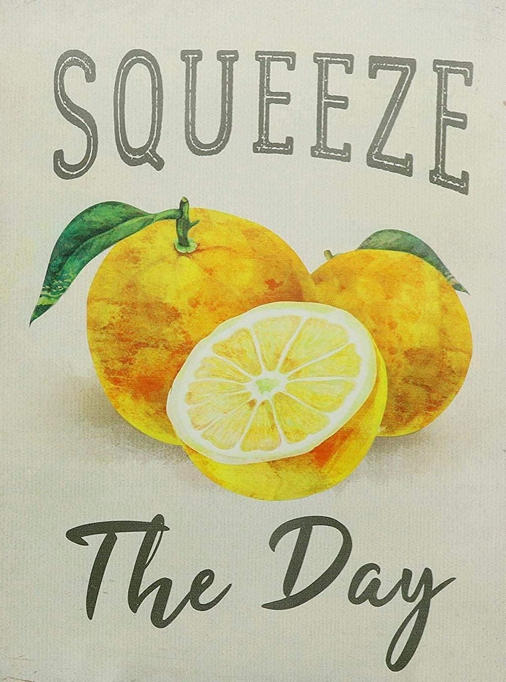 Home Decor Shop - Starotore Squeeze The Day Vintage Metal